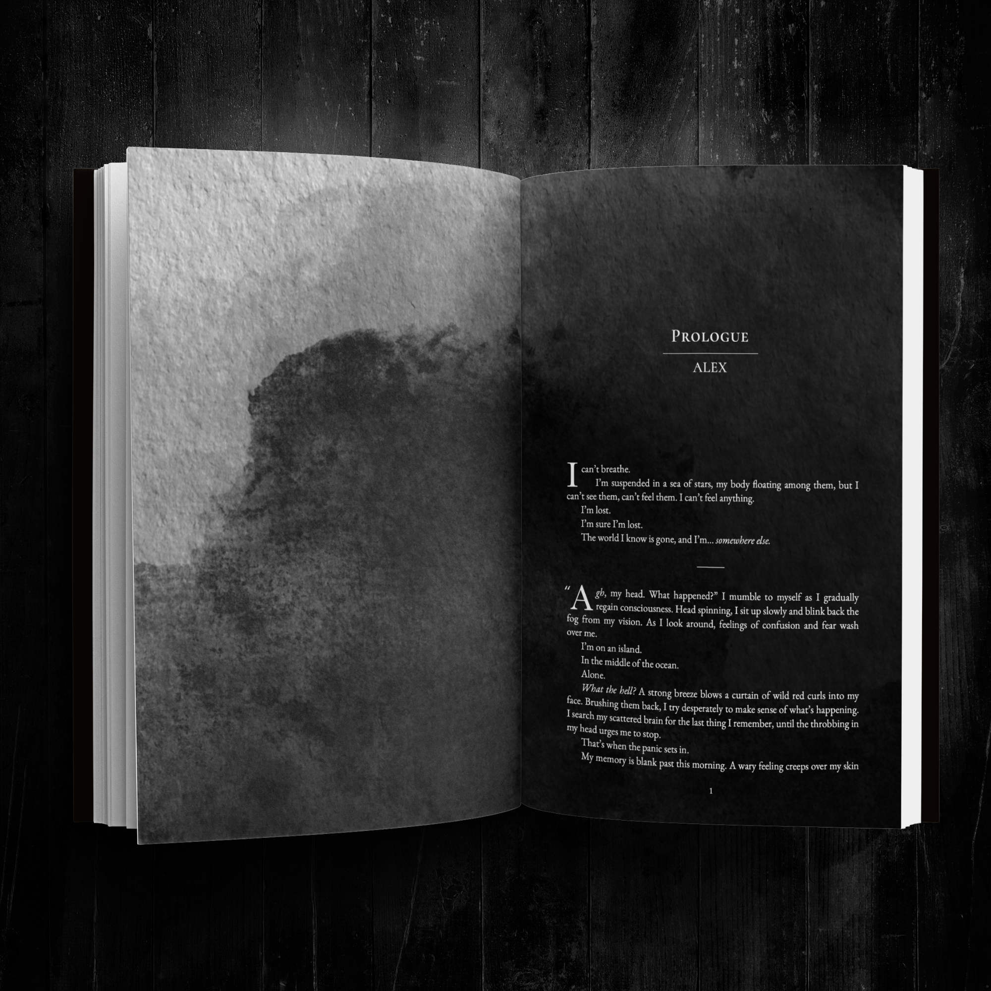 Lost to a Dream: The Lost Series Book One